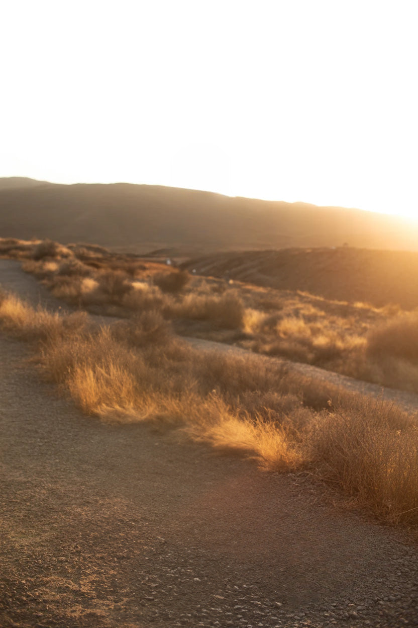 Golden desert trail with dry grass and sunset hills