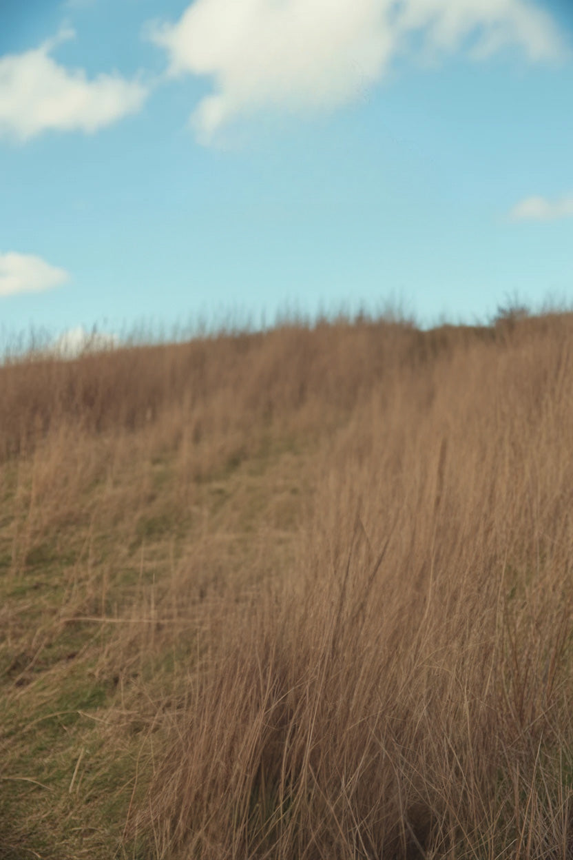 Dry grassy hillside under blue sky with scattered clouds