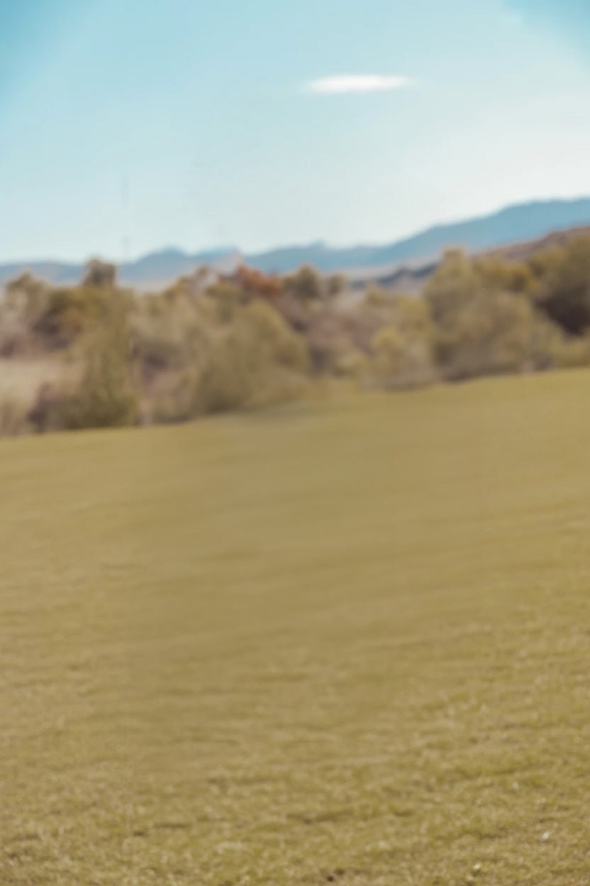 Open grassy field with distant trees and mountains