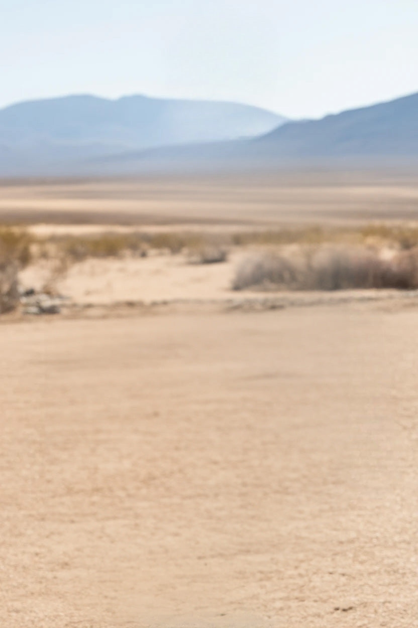 Vast arid desert landscape with distant mountain range