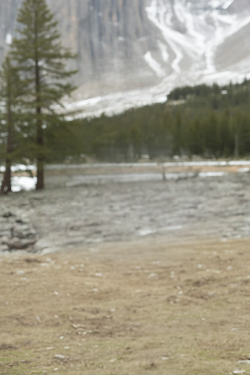 Snow-dusted mountain landscape with evergreen forest and lake