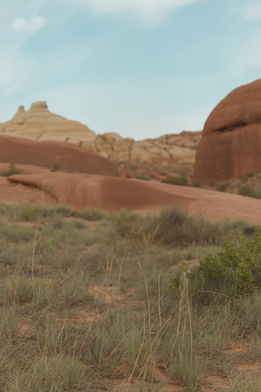 Red rock desert with sparse vegetation and clear sky