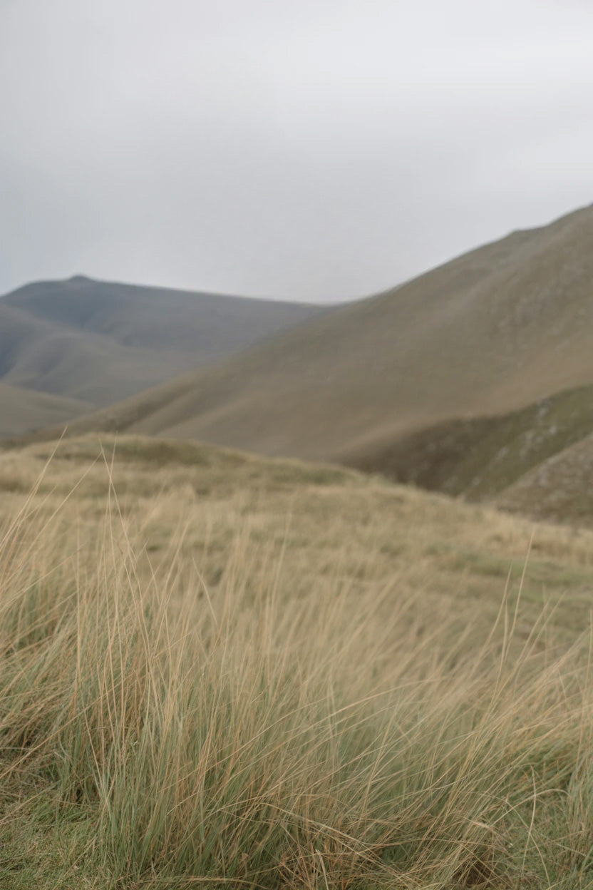 Grassy hillside landscape with rolling mountains and cloudy sky