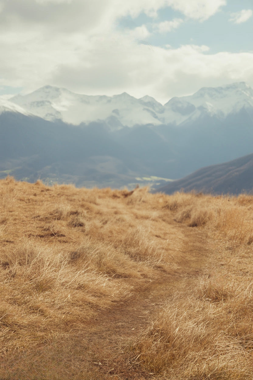 Golden grassy hilltop with snowy mountain peaks behind