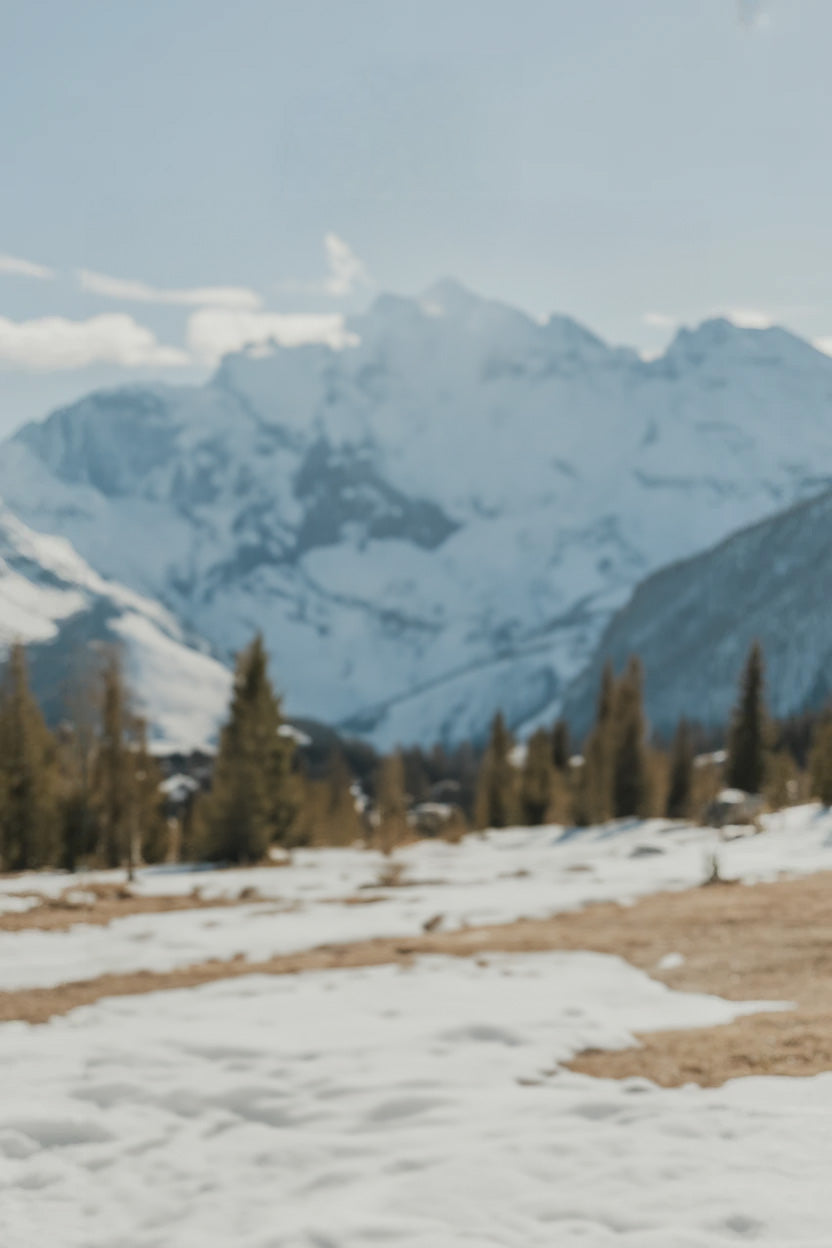 Snow-covered valley with pine trees and distant mountains
