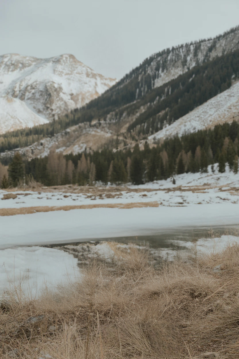Snowy mountain landscape with frozen lake and pine forest
