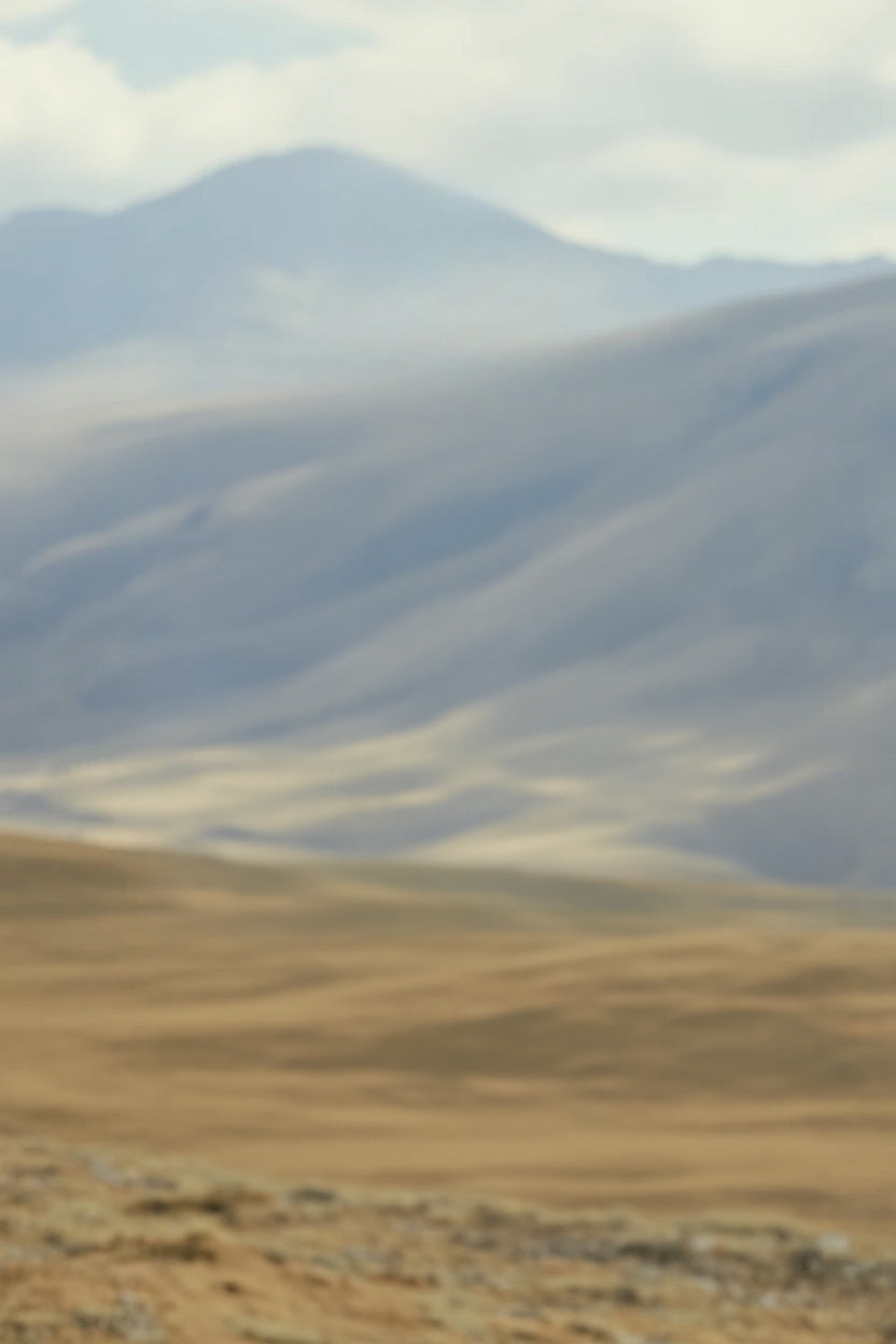 Golden dry plains with misty blue mountain backdrop