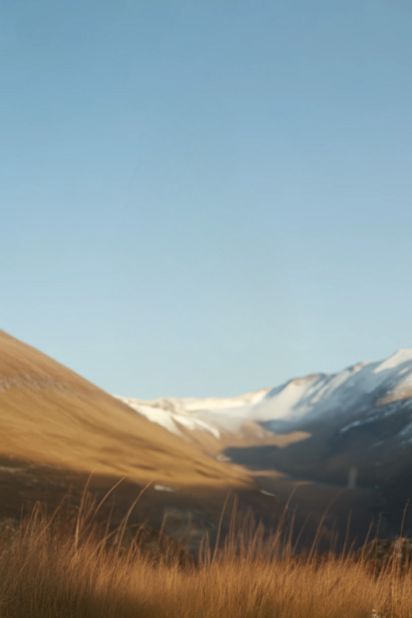 Golden grassy valley with snow-capped mountains and clear sky
