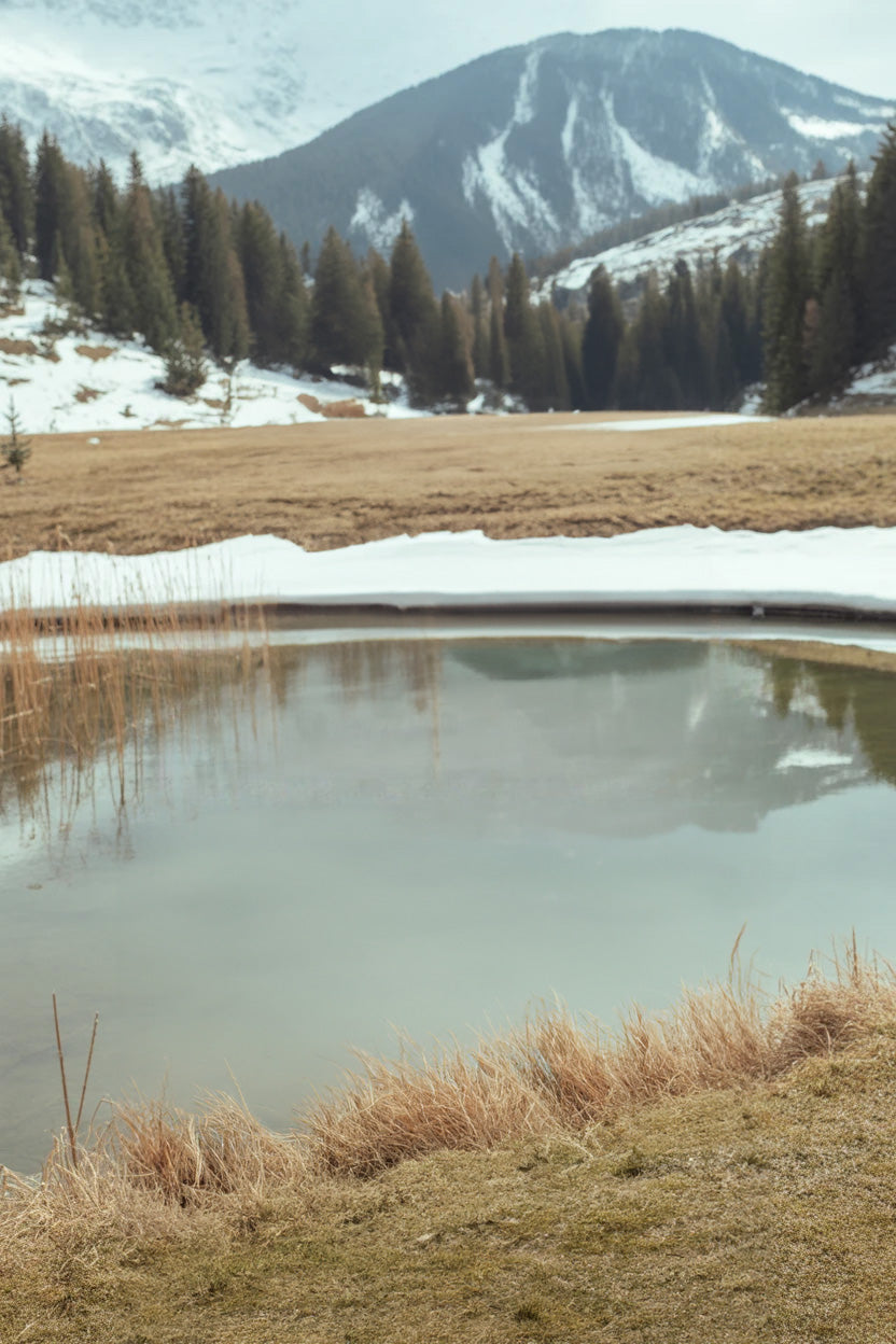 Calm mountain pond surrounded by snow and pine trees