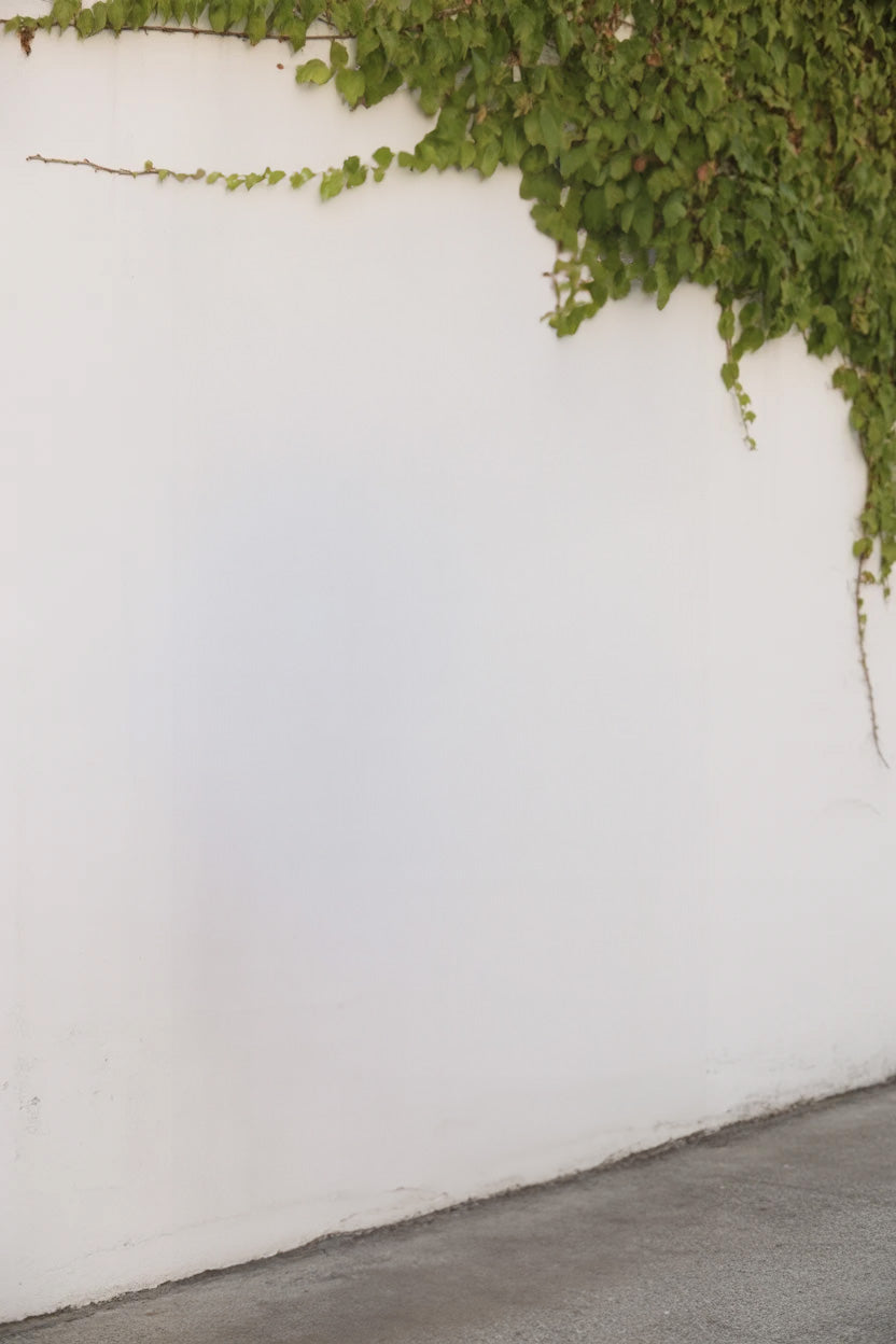 White wall with green ivy vines growing across top