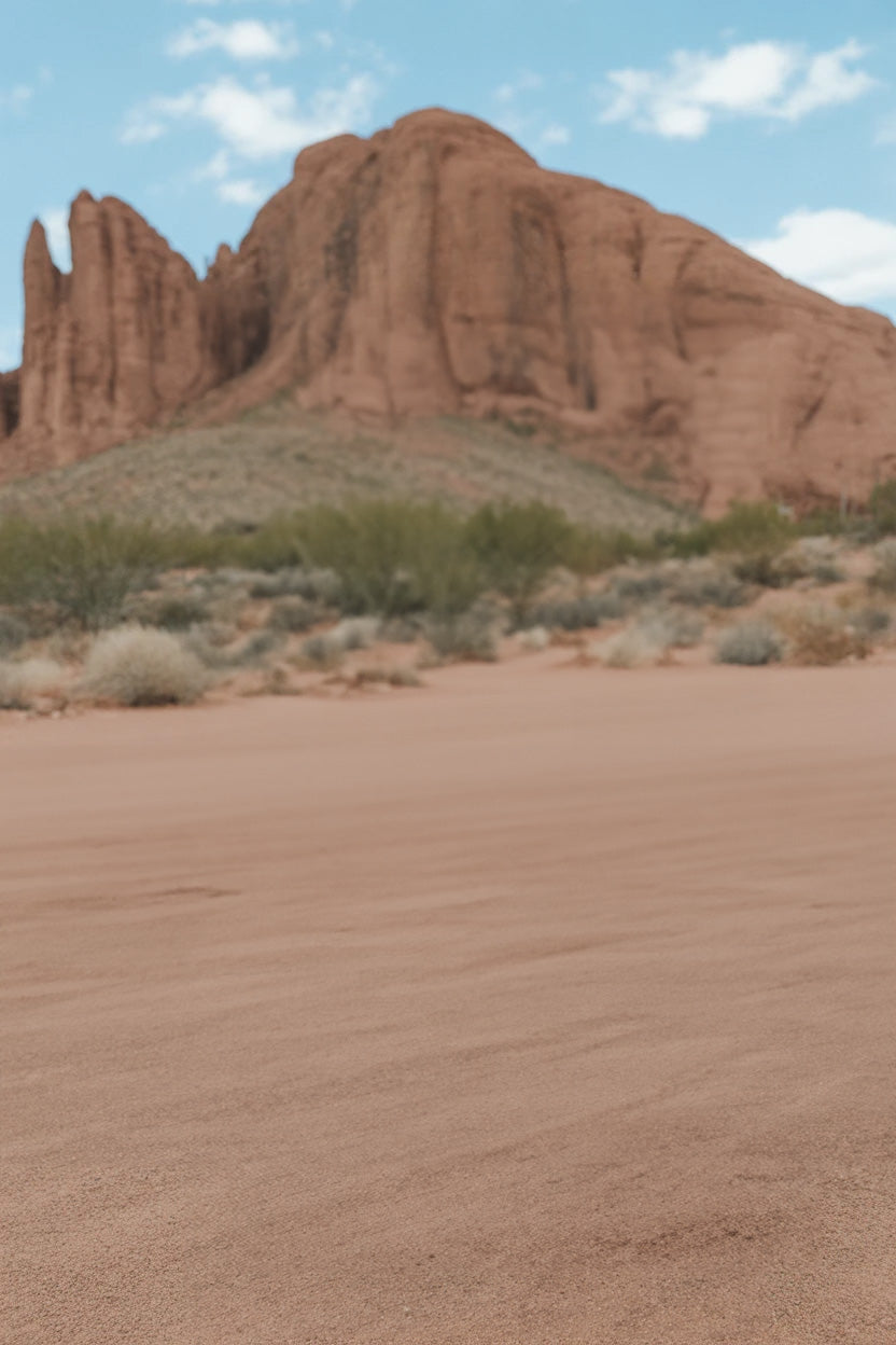 Red rock desert landscape with sandy foreground and shrubs