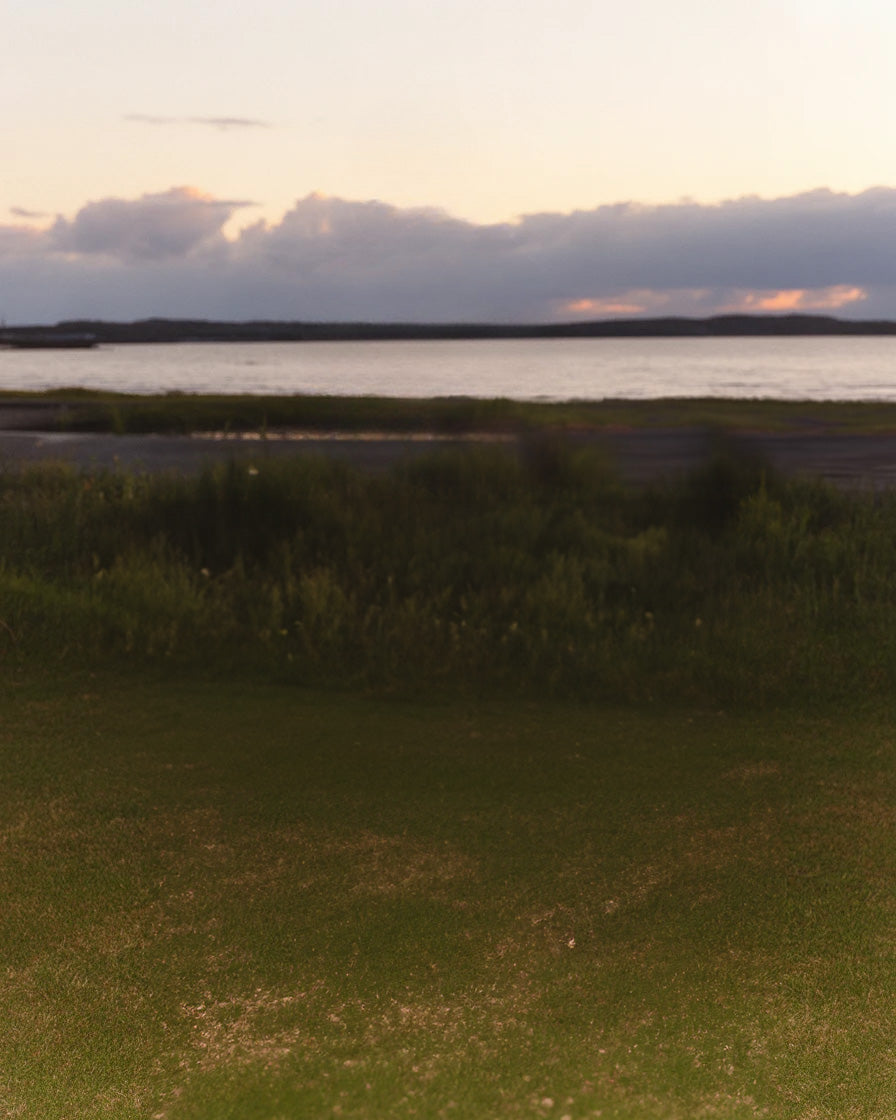 Calm lakeside landscape with grassy shore and distant hills
