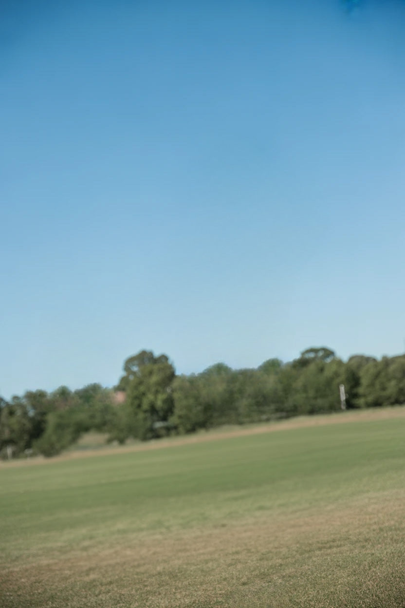 Open grassy field under clear blue sky and trees