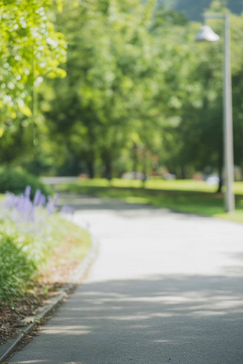 Sunlit park pathway surrounded by trees and green foliage