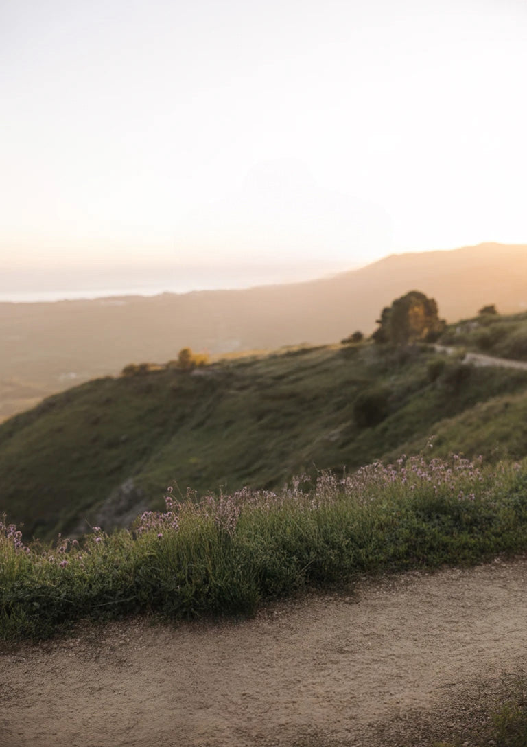 Dirt hiking trail overlooking rolling hills at sunset