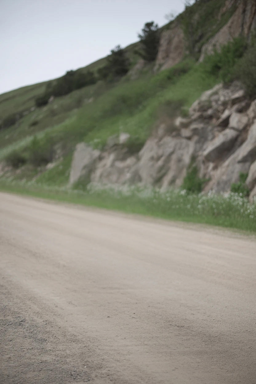 Gravel road beside rocky hillside with green vegetation