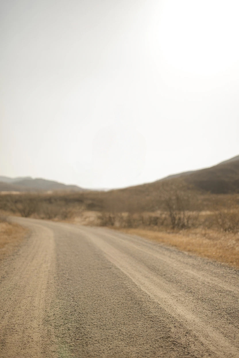 Winding dirt road through dry open landscape under bright sun