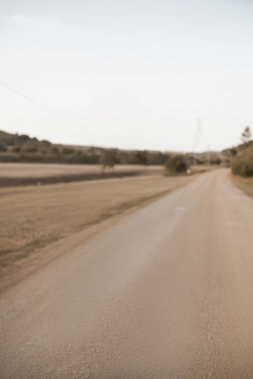 Rural countryside road lined with fields and trees