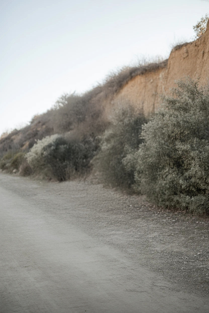 Dusty dirt road beside rocky hillside with dry shrubs