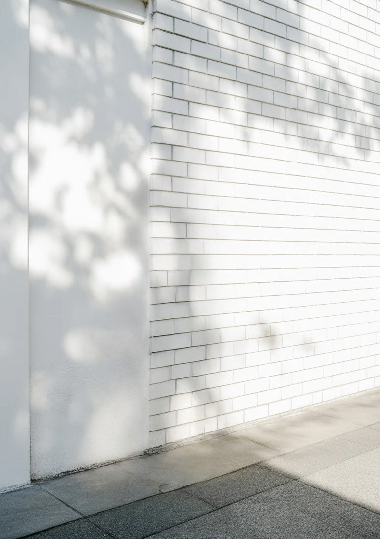 White brick wall with soft tree shadows and concrete pavement
