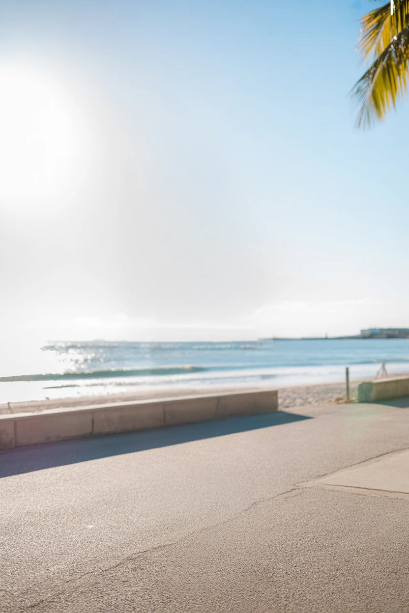 Sunny coastal road overlooking calm blue ocean waves