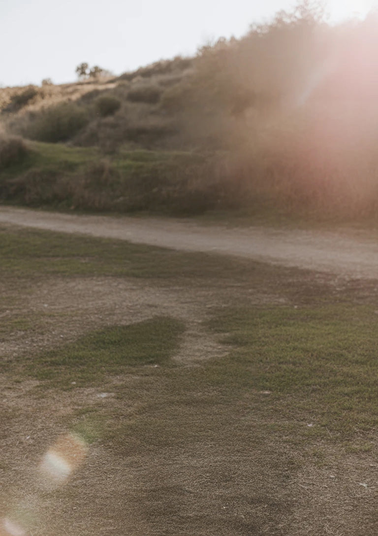Sunlit dirt path winding through grassy hillside landscape
