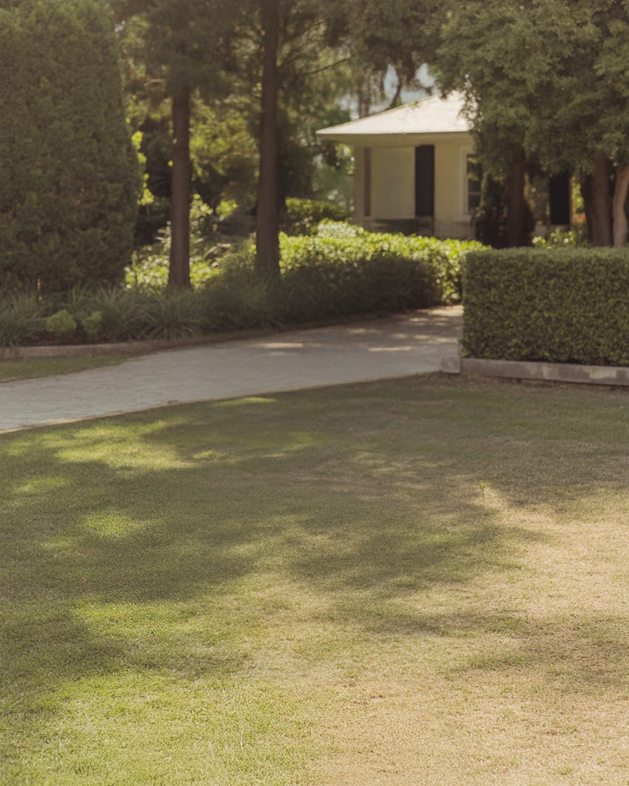 Shaded garden lawn with hedges, trees, and a small house