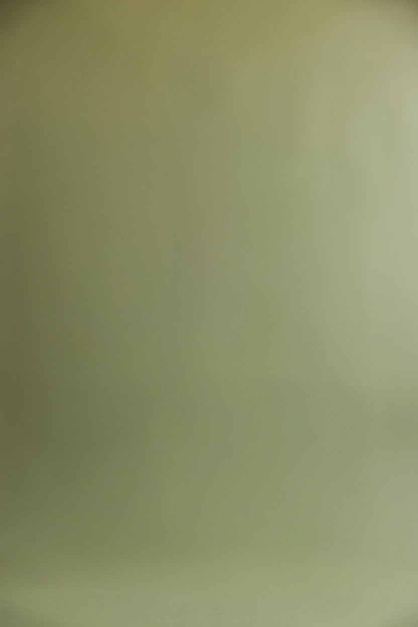 Plain olive green backdrop with smooth gradient lighting