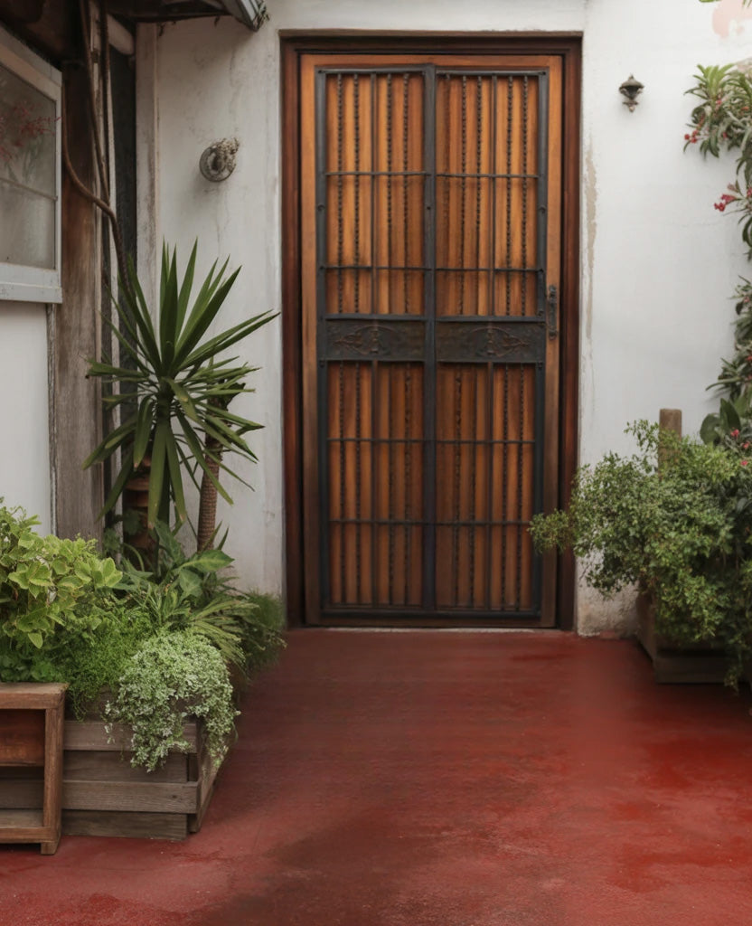 Wooden door with wrought iron frame surrounded by potted plants