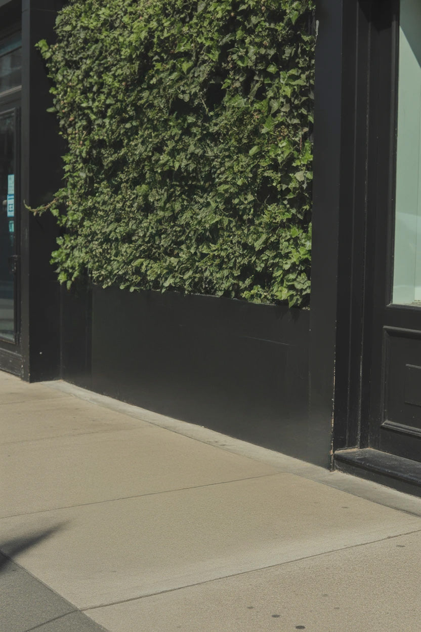 Urban sidewalk with black building facade and vertical green ivy wall