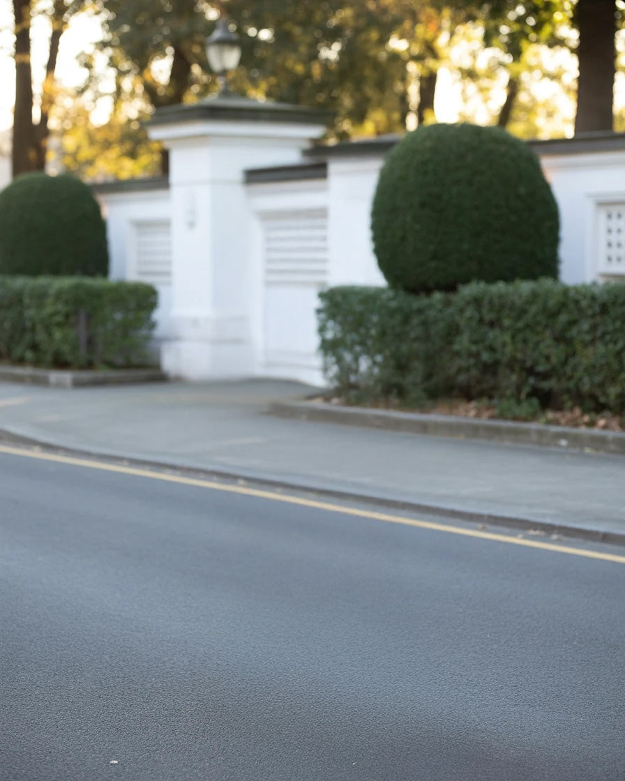 Elegant white walled property with manicured topiary and street view