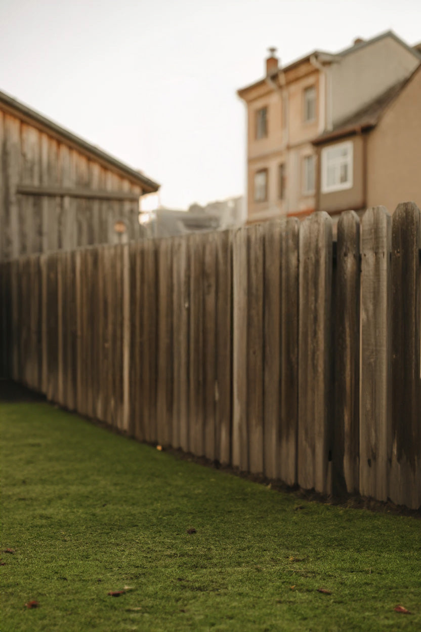 Sunny residential backyard with tall wooden fence line