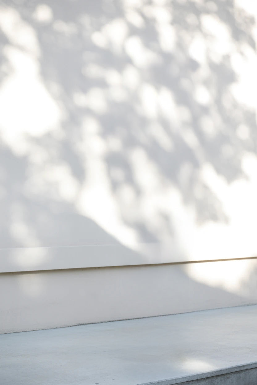 Sunlit white wall with soft dappled tree shadows