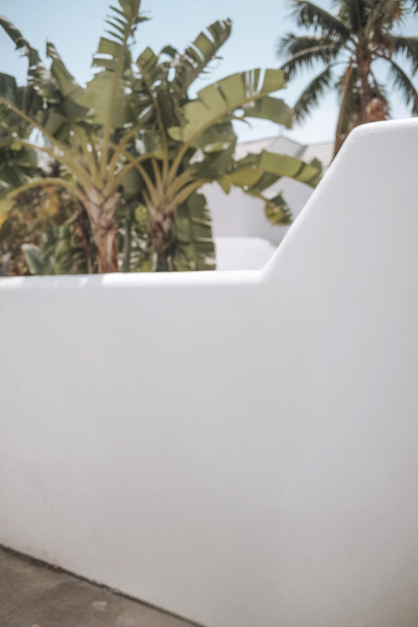 Tropical courtyard with white stucco wall and palm trees