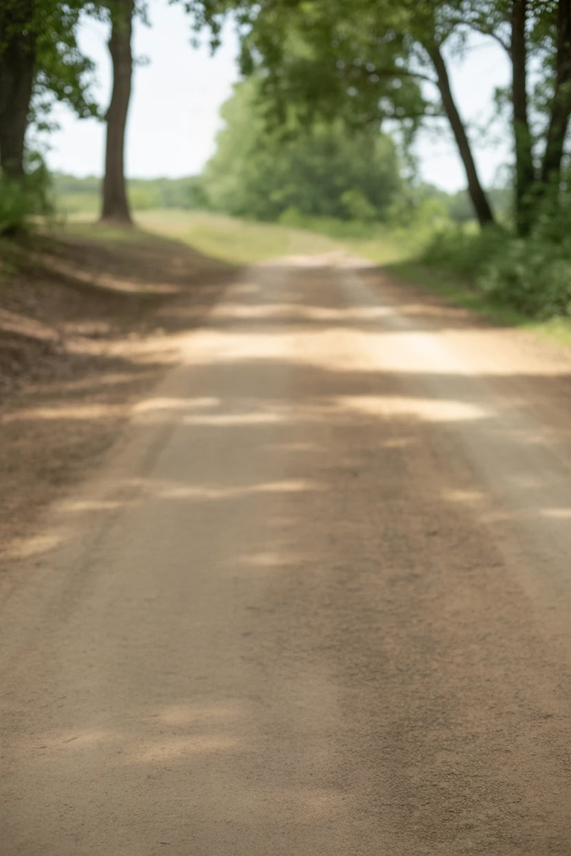 Shaded dirt road surrounded by tall green trees