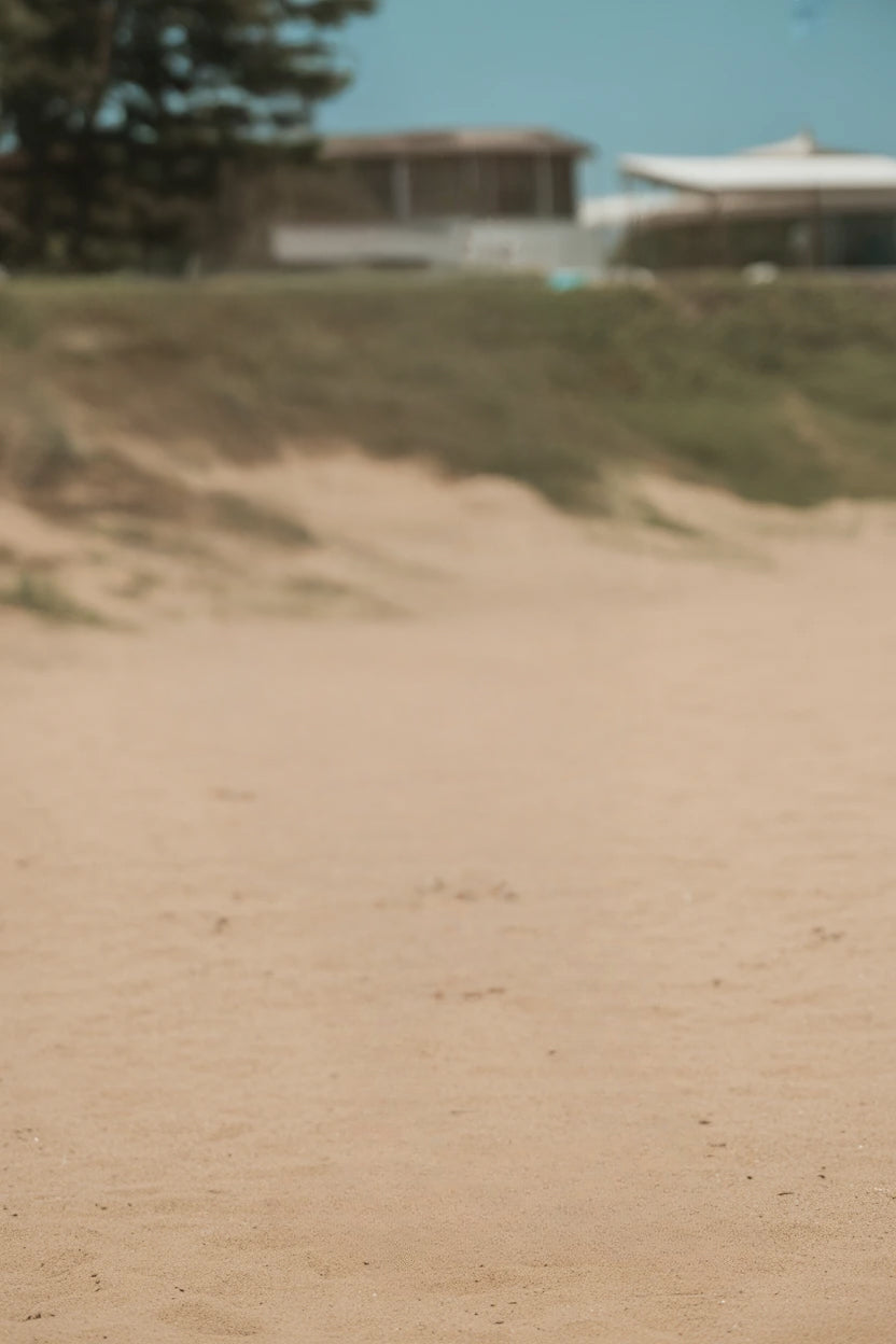 Sunny sandy beach with grassy dunes and distant houses