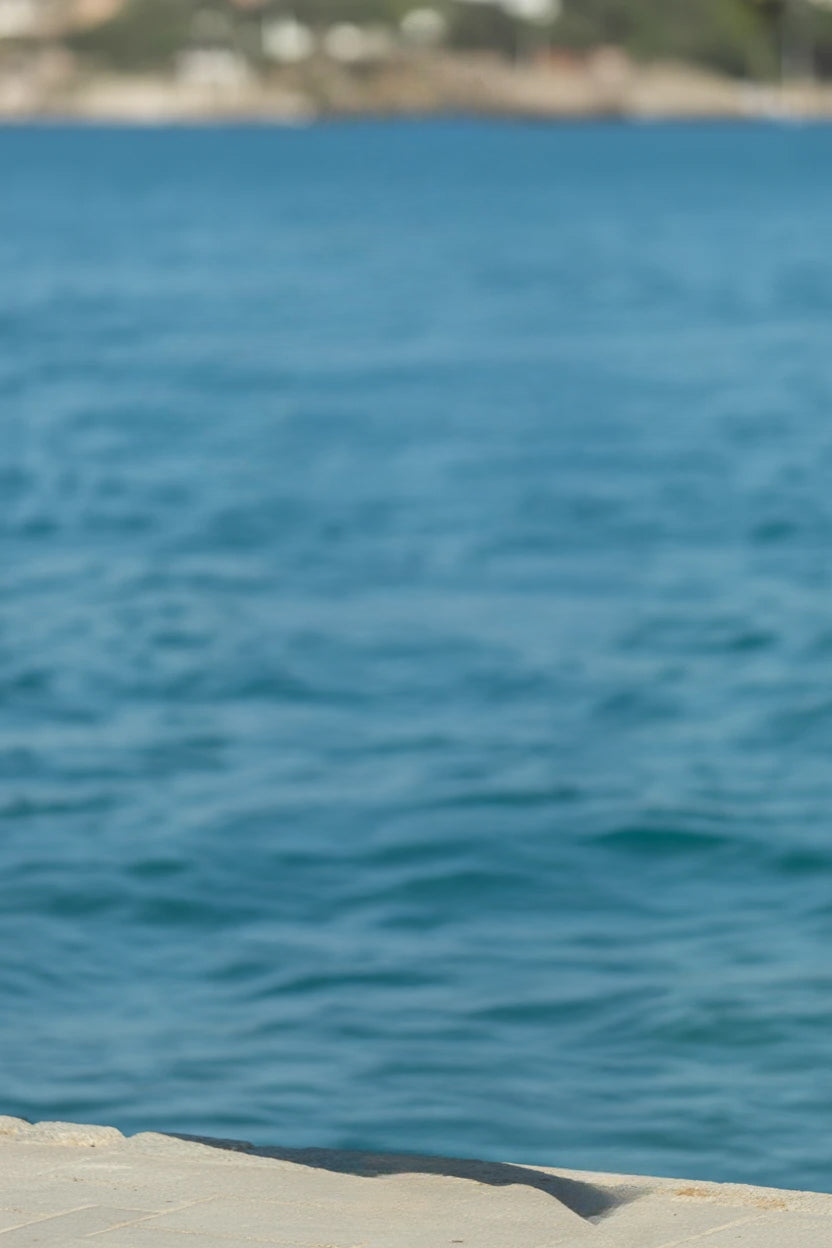 Sunny seaside edge with calm blue water and distant shore