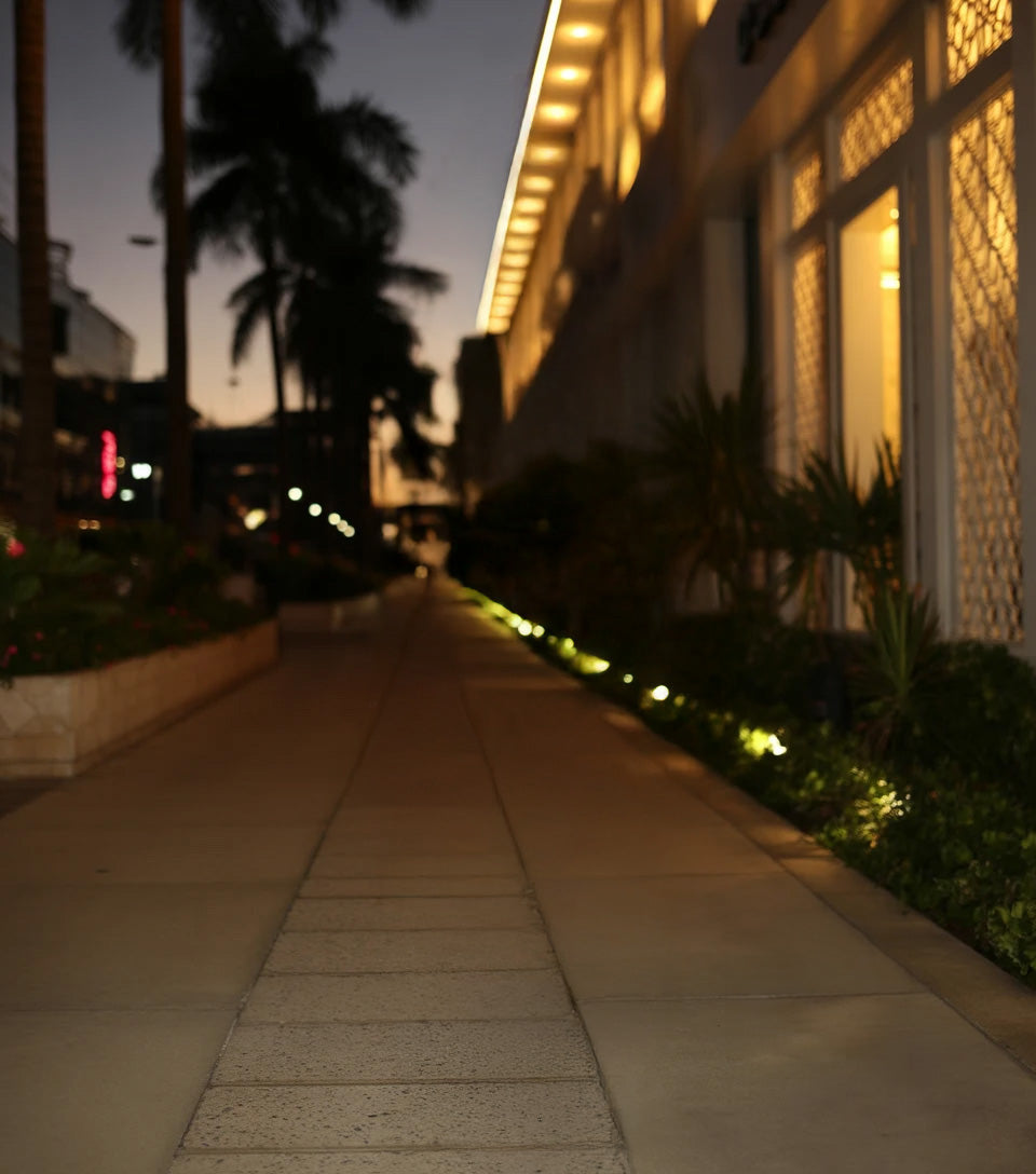 Evening sidewalk with palm trees and building lights