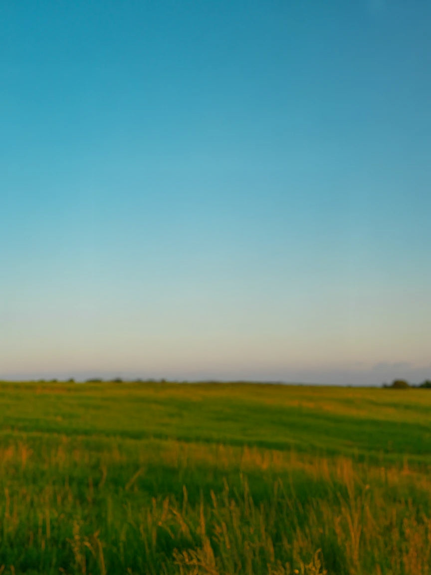 Open grassy field under clear blue summer sky