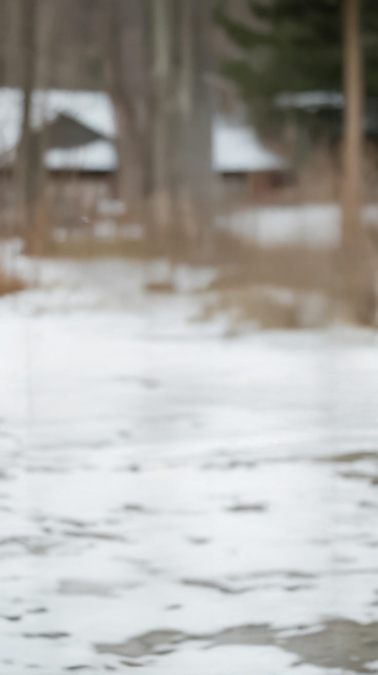 Snow-covered ground with blurred trees and cabins in background