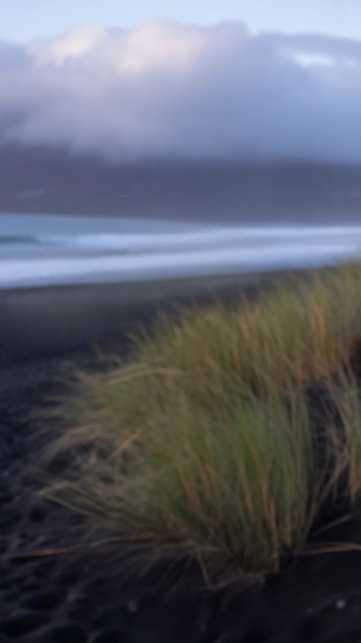Misty coastline with black sand beach and dune grass