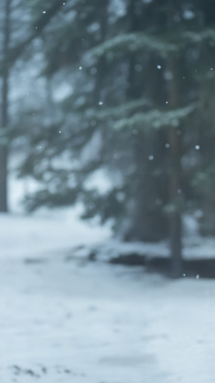 Snowy forest with falling snowflakes and evergreen trees