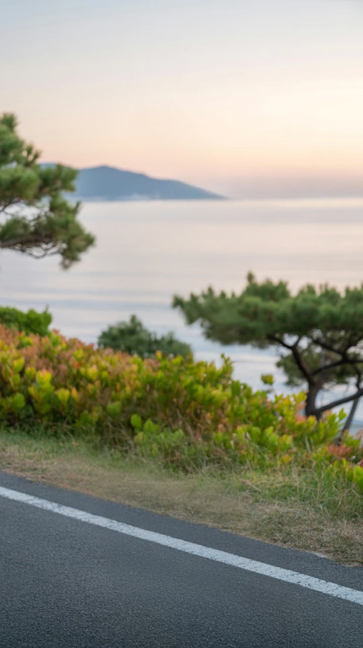 Coastal road lined with green shrubs and ocean view