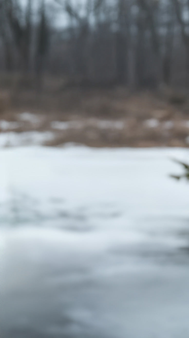 Frozen river with surrounding leafless trees and winter landscape