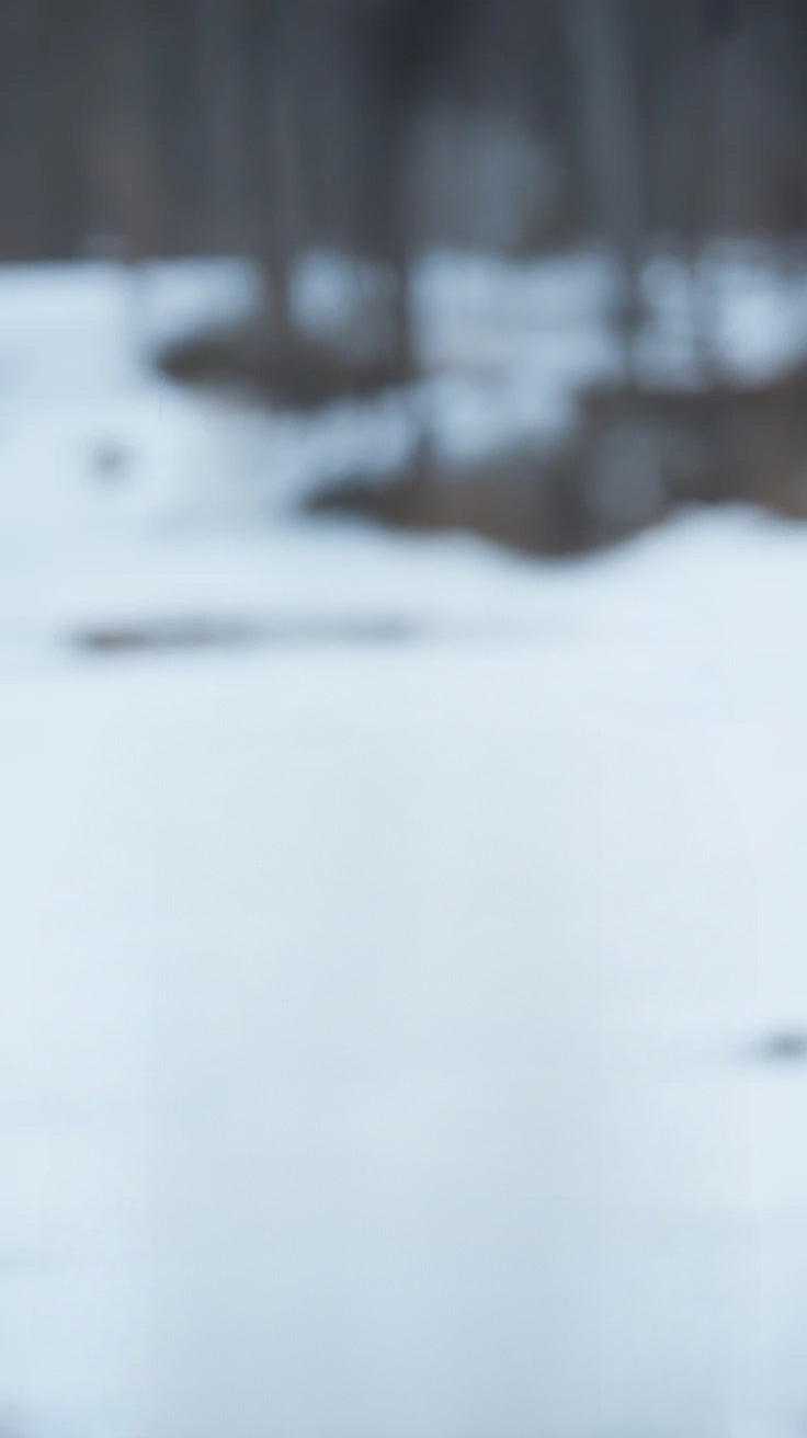 Snow-covered landscape with distant trees and soft winter light