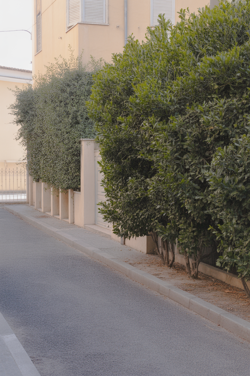 Quiet residential street lined with green hedges and buildings