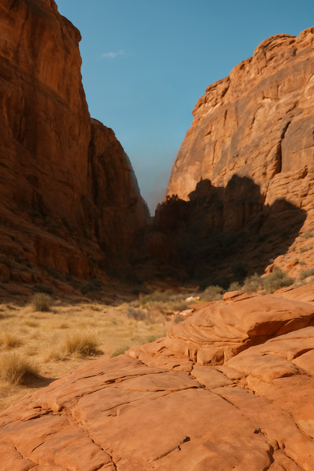 Red rock canyon landscape with dry grass and blue sky