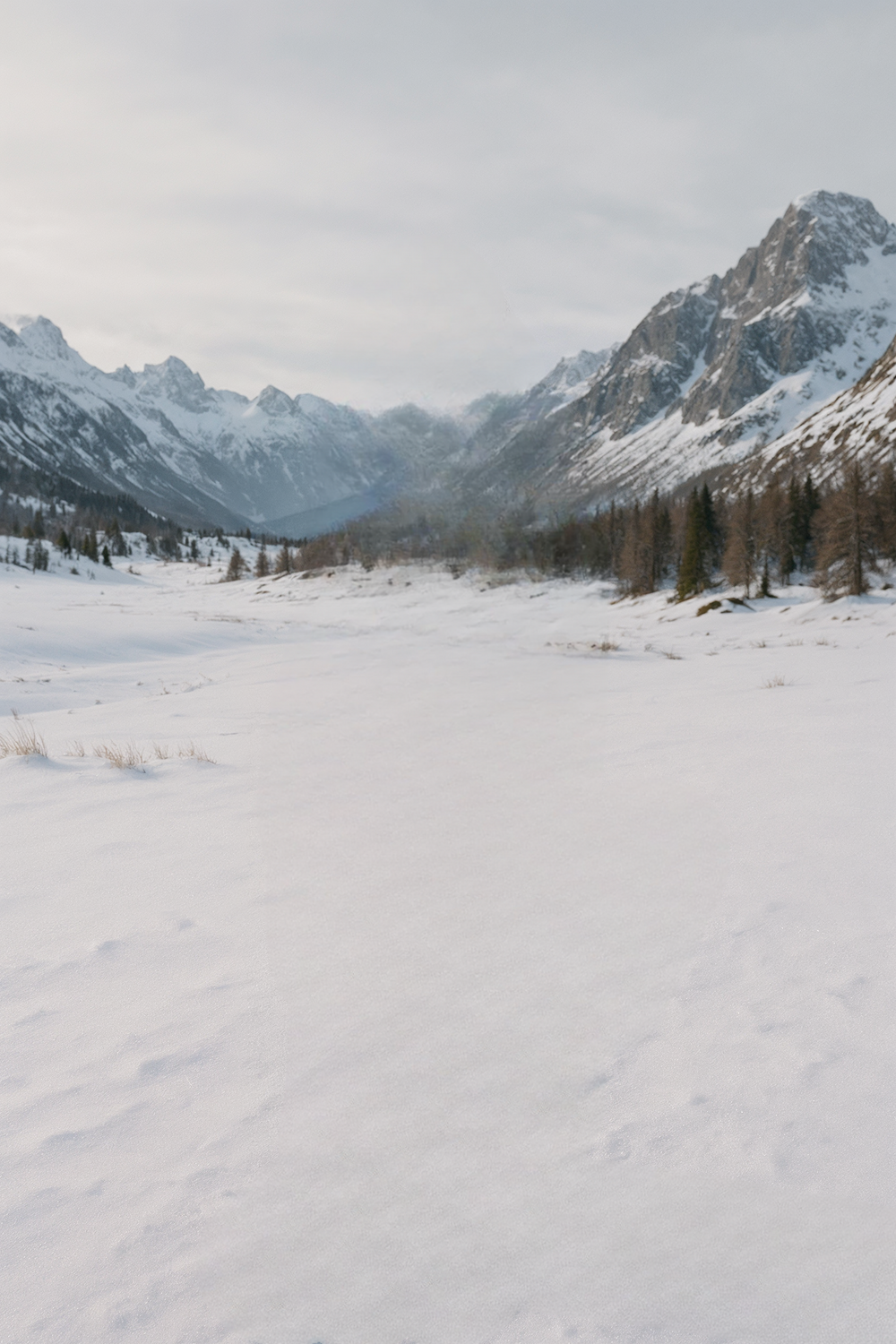 Snow-covered valley with pine trees and rugged mountains