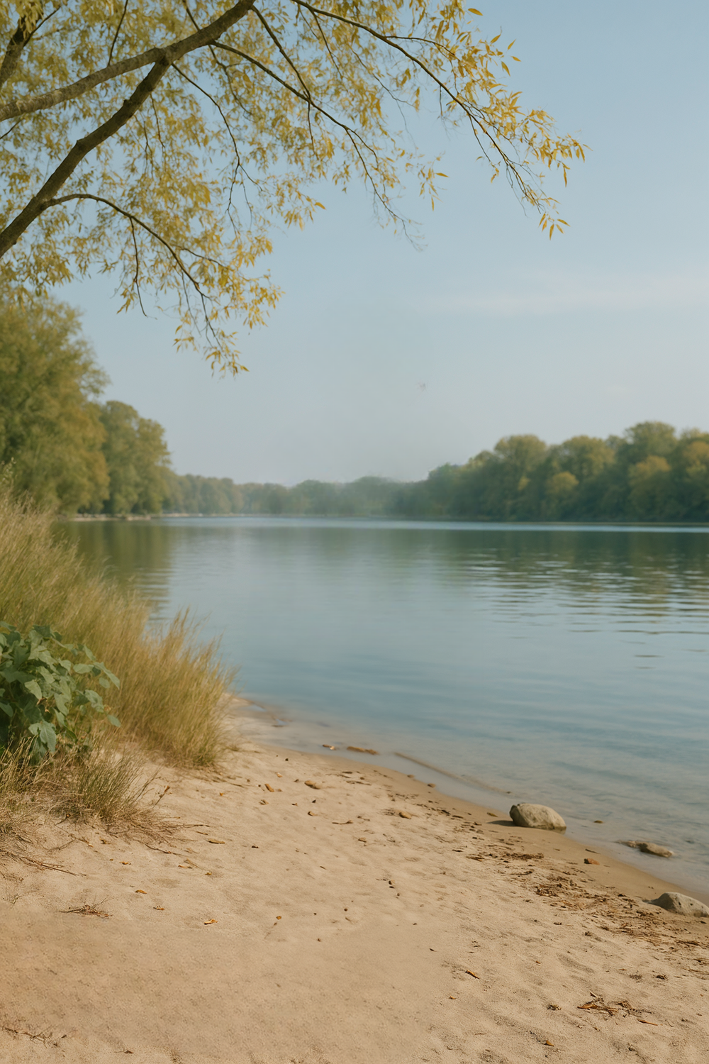 Calm riverside with tall trees and sandy shore