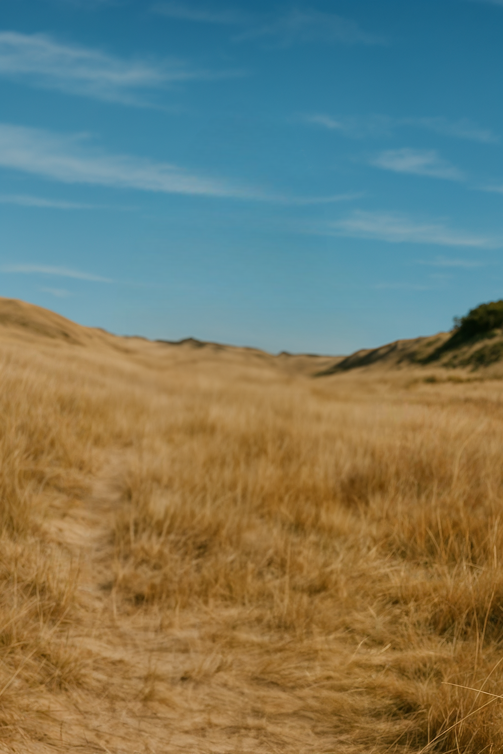 Dry grassy hills under clear blue sky and sunlight